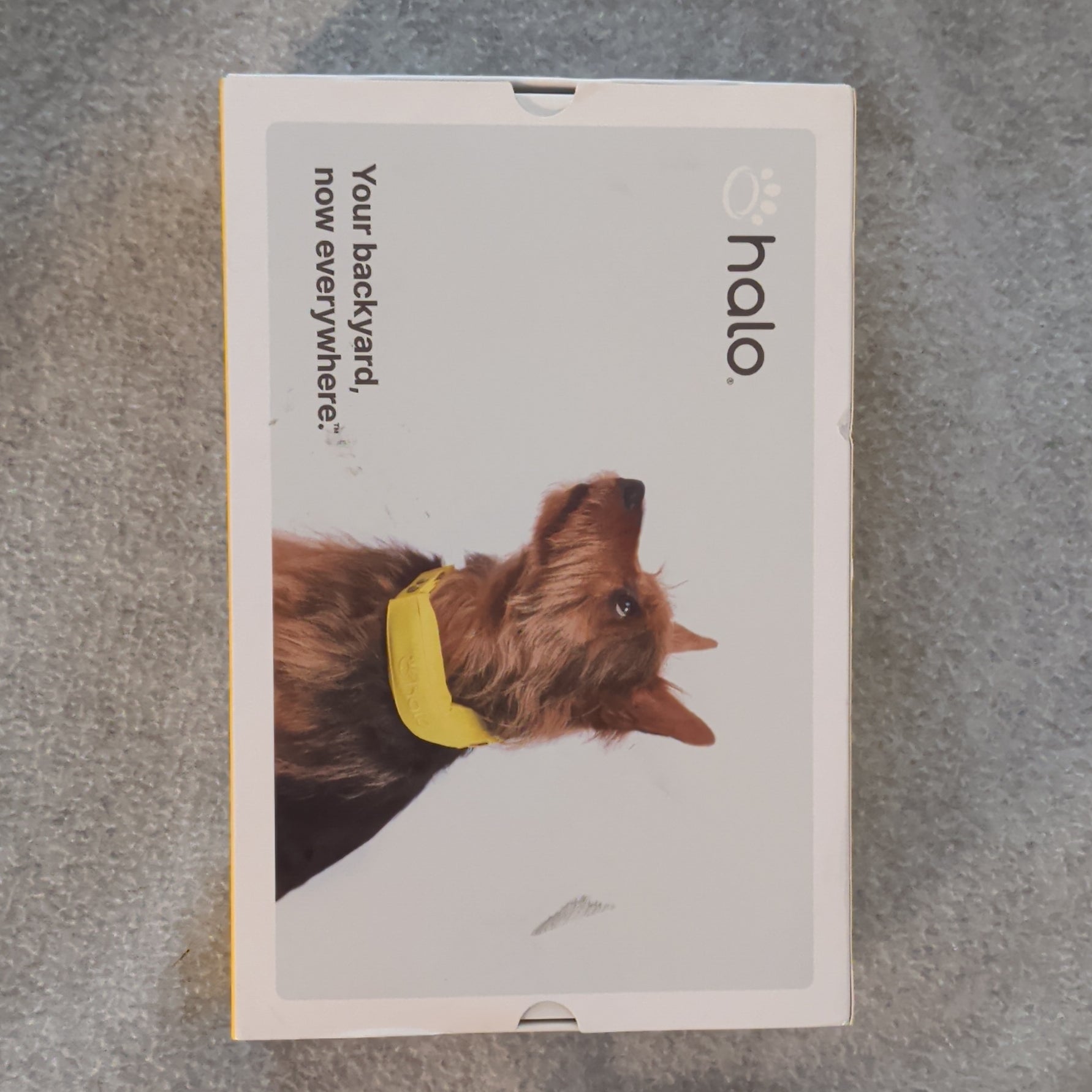 Halo collar 4 for Dogs